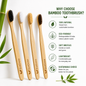 EcoGrove Bamboo Toothbrush – Eco-Friendly, Biodegradable, Soft Bristles